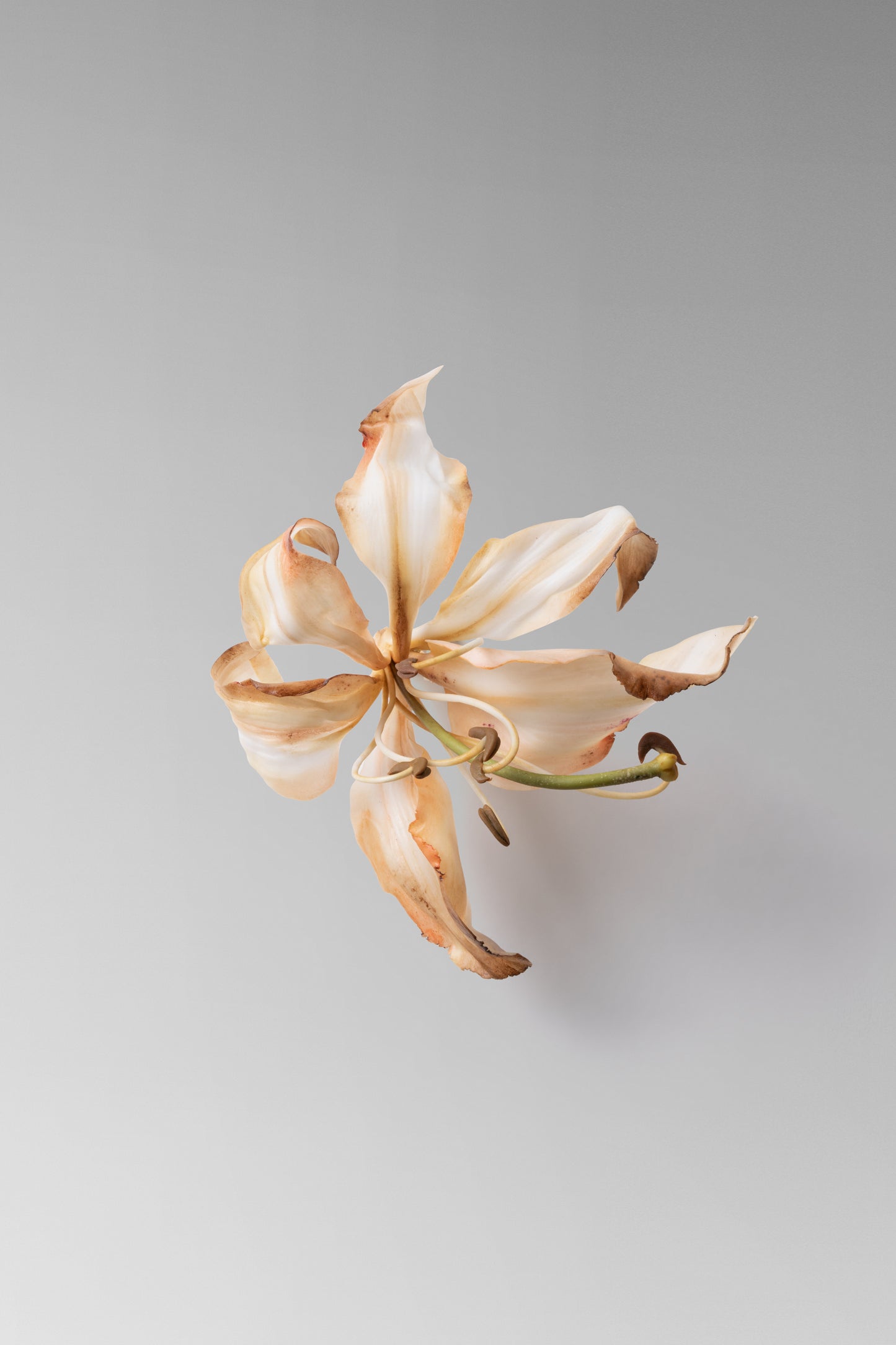 Lily Brooch